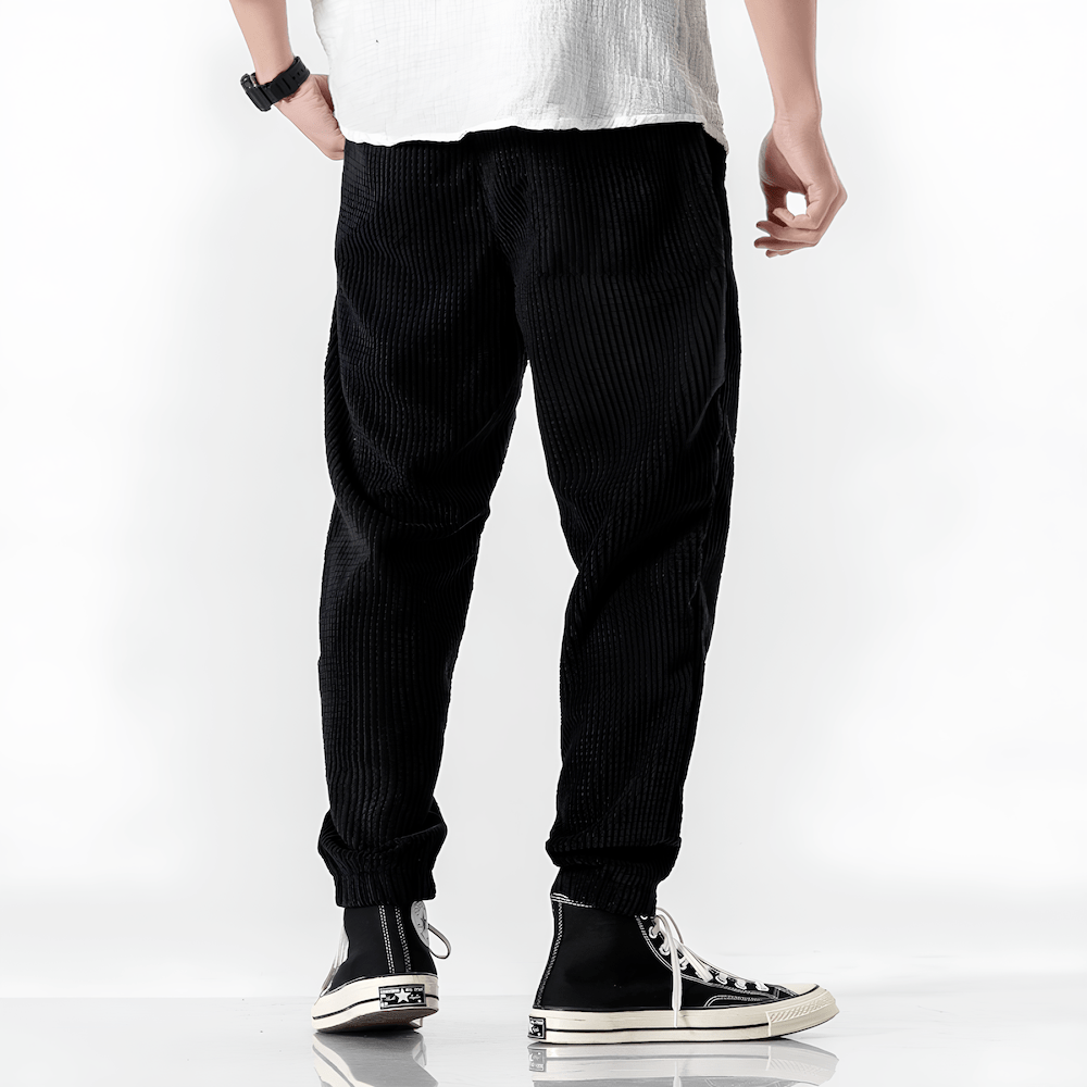 Ramiro | Pantaloni in velluto moderni