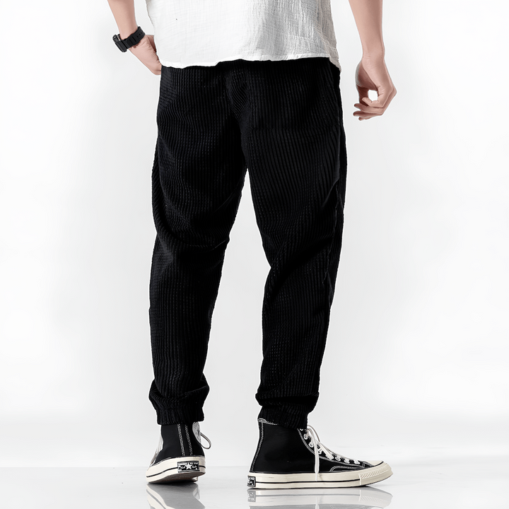 Ramiro | Pantaloni in velluto moderni