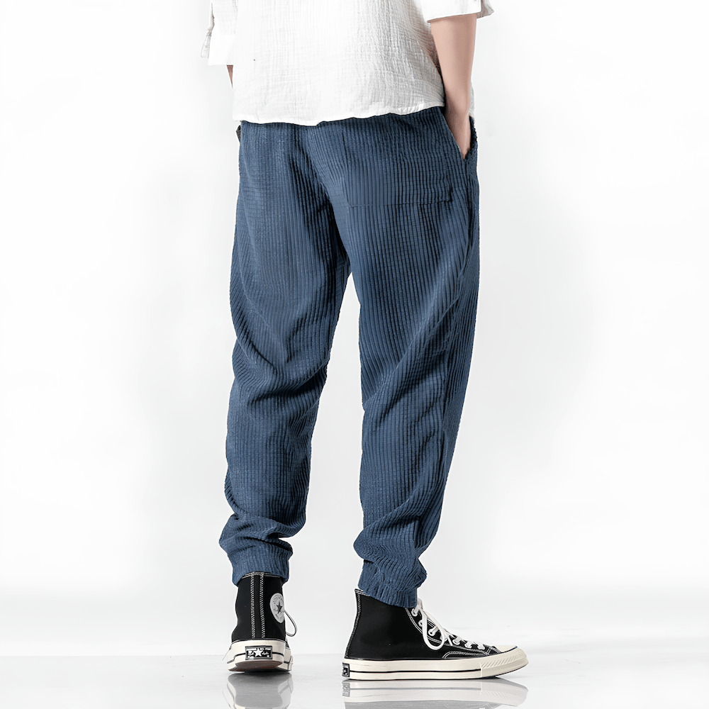 Ramiro | Pantaloni in velluto moderni