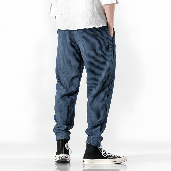 Ramiro | Pantaloni in velluto moderni