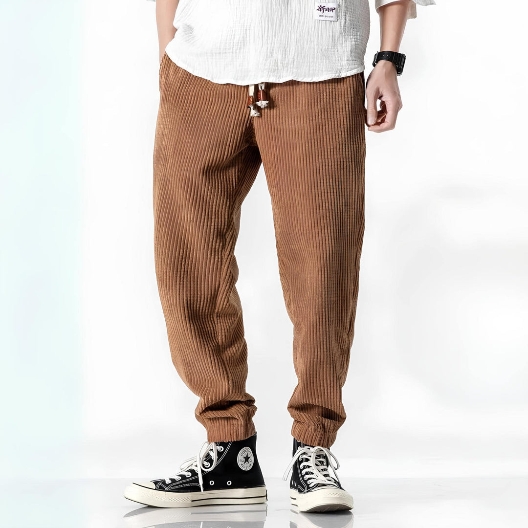 Ramiro | Pantaloni in velluto moderni