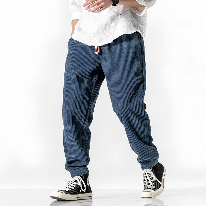 Ramiro | Pantaloni in velluto moderni
