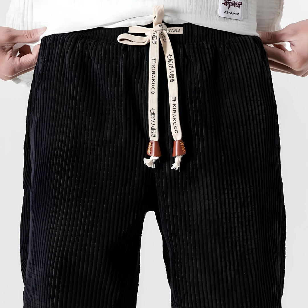 Ramiro | Pantaloni in velluto moderni