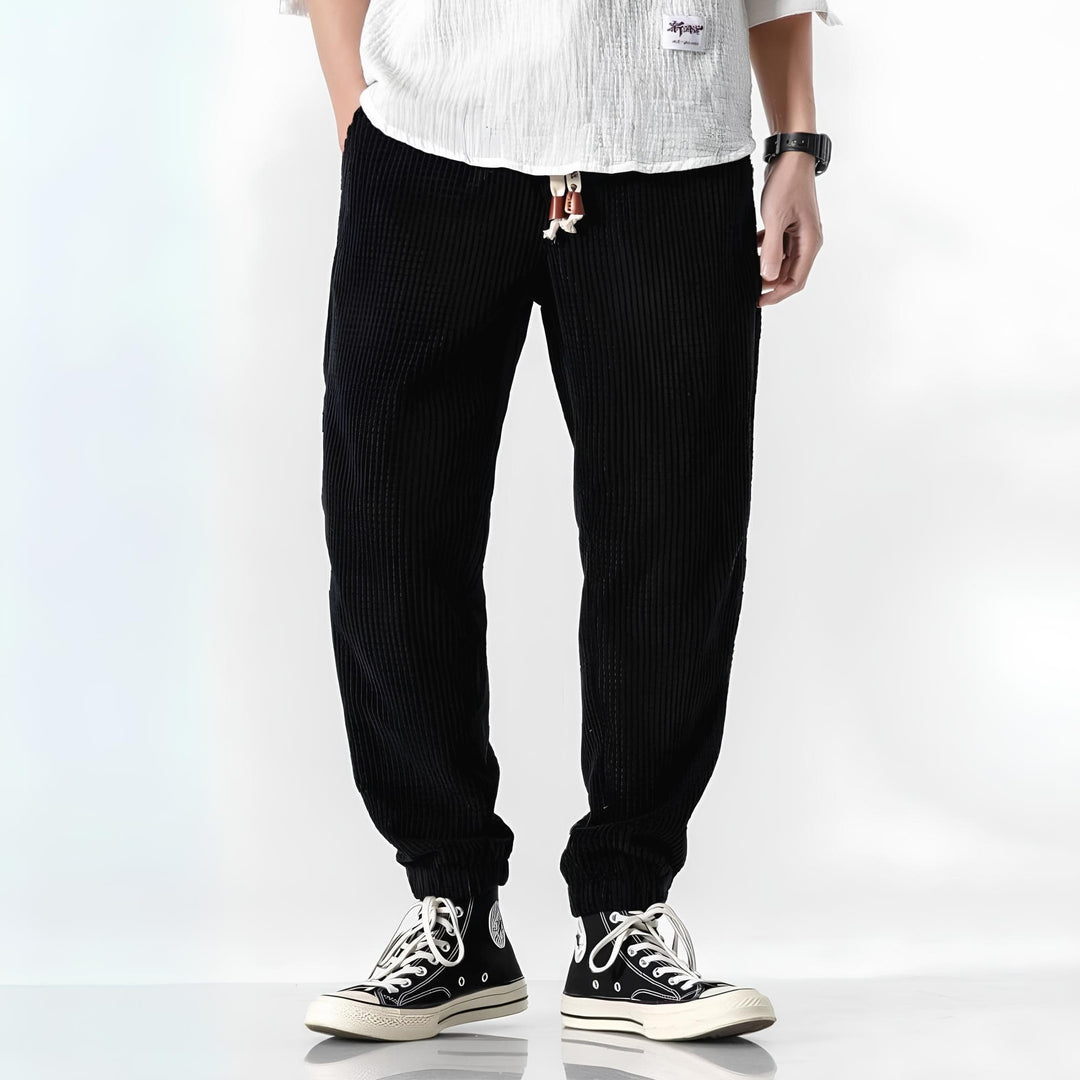 Ramiro | Pantaloni in velluto moderni