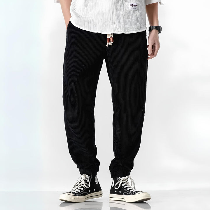 Ramiro | Pantaloni in velluto moderni